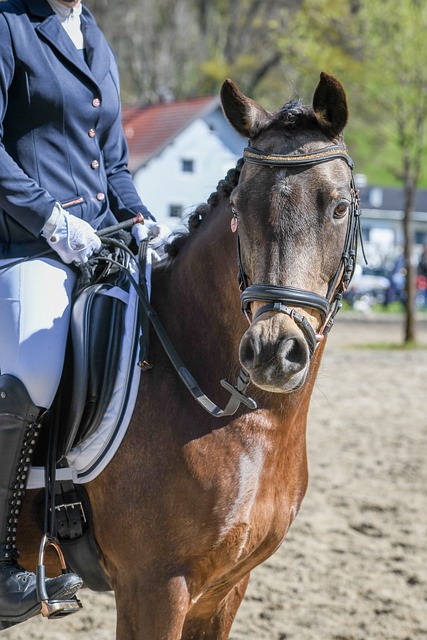 需更深层次 需更深层次