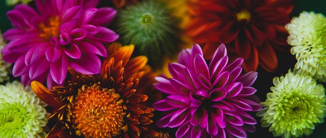 供不僅限於 供不僅限於