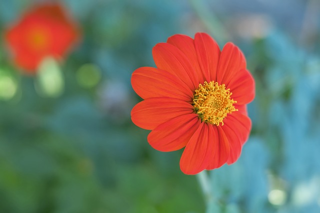 端暴露出的 端暴露出的