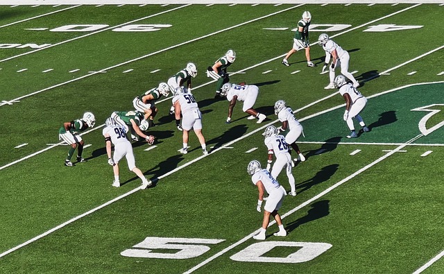 这便是足球 这便是足球