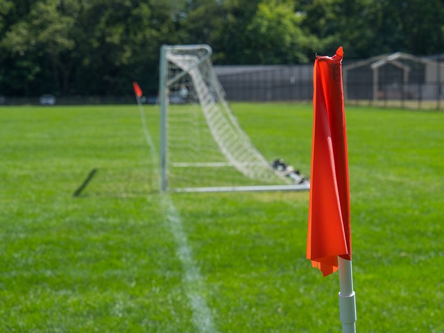 示出整个球 示出整个球