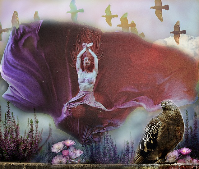 普基的表现 普基的表现